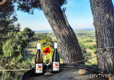 Specialist in Cru wijnen uit de zuidelijke Rhônevallei