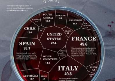 🍇 Gerangschikt: ‘s Werelds grootste wijnproducenten per land
